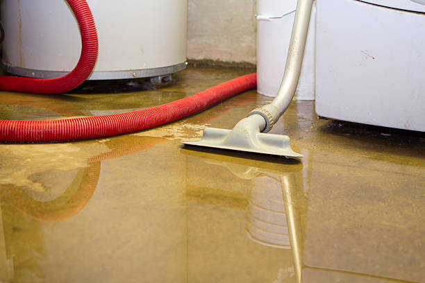 Reliable Snohomish, WA Water damage restoration Solutions